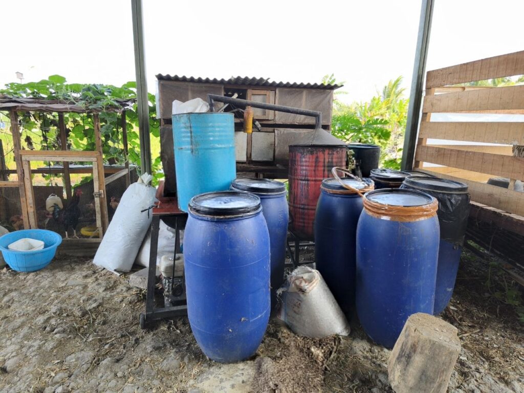 Drum penyimpanan silase untuk cadangan pakan ternak di Zeze Zahra